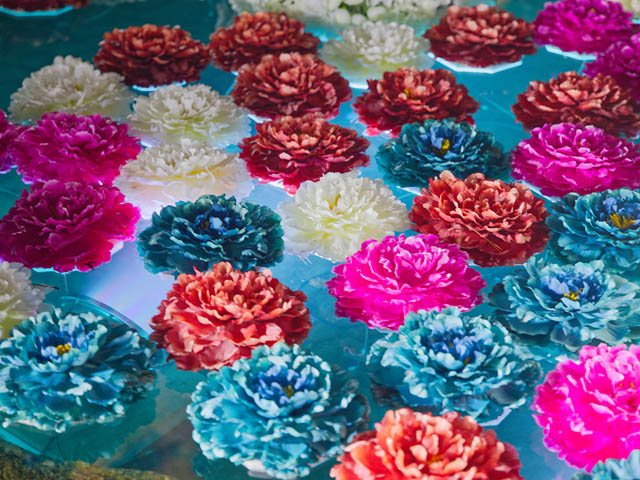 大濠公園 日本庭園内に石原和幸氏（庭園デザイナー）プロデュースの新コンテンツが登場