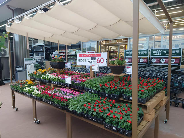 カインズ 苅田店 - いよいよグランドオープン