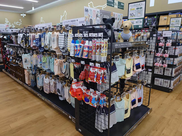 カインズ 苅田店 - いよいよグランドオープン